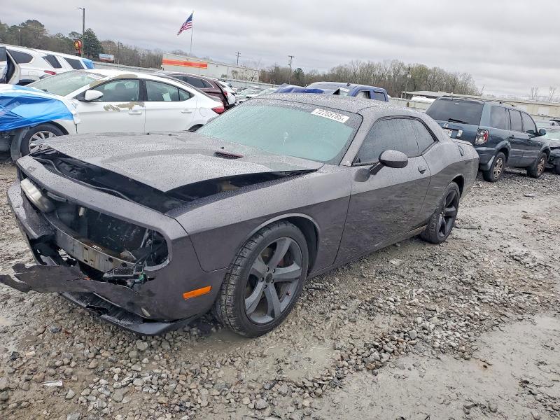 DODGE CHALLENGER 2013 with VIN 2C3CDYAG5DH685615 - Photo from auction