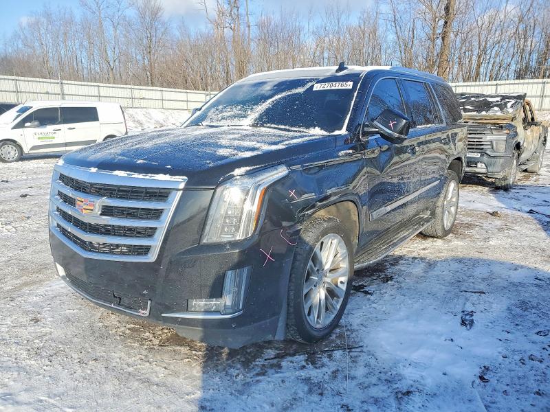 CADILLAC ESCALADE 2019 with VIN 1GYS4BKJ3KR194014 - Photo from auction