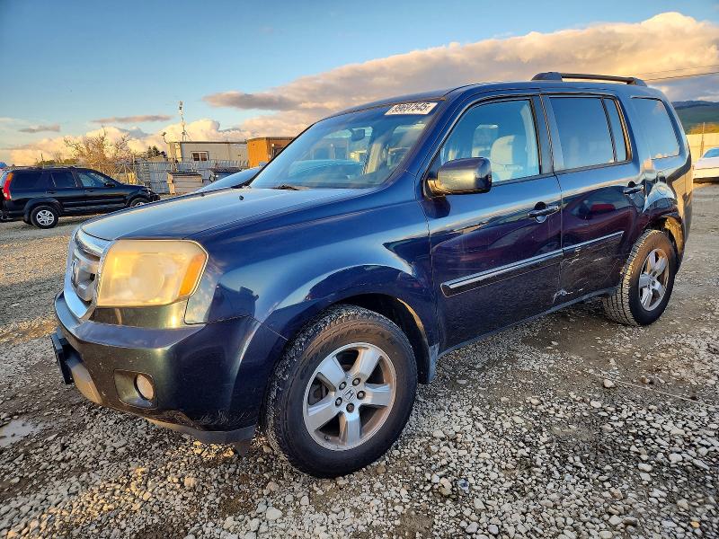 HONDA PILOT EX 2009 مع رقم تعريف المركبة 5FNYF38489B015905 - صورة من المزاد