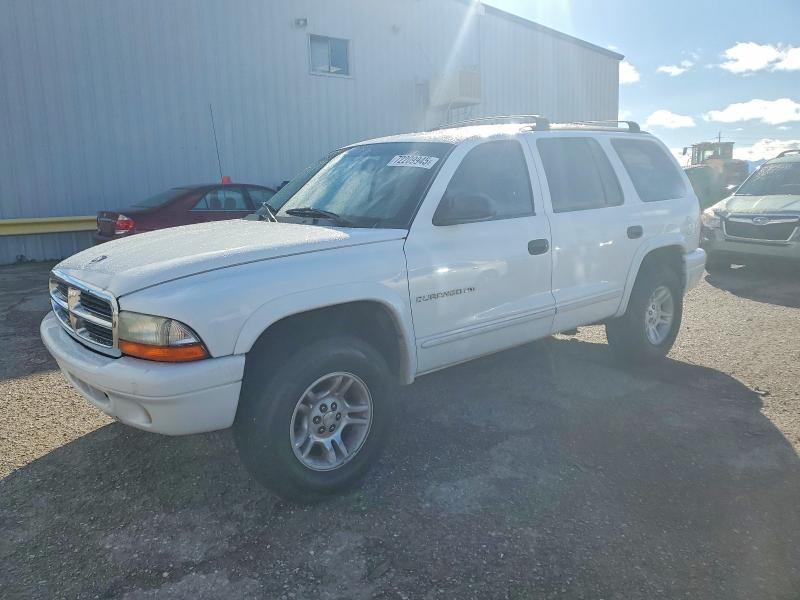 DODGE DURANGO 2001 with VIN 1B4HS28N51F583475 - Photo from auction
