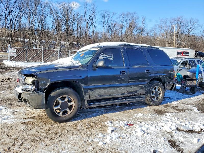 GMC YUKON DENA 2004 with VIN 1GKEK63U74J253256 - Photo from auction