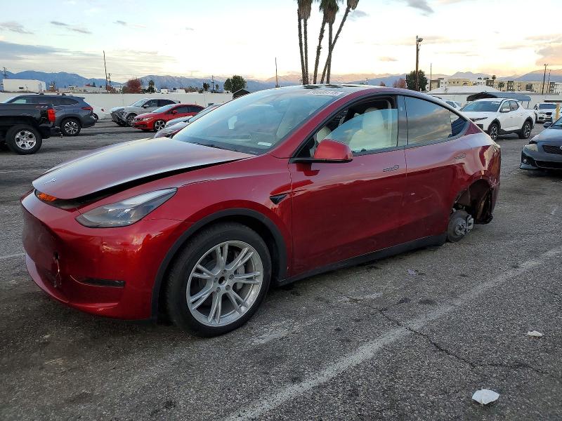 TESLA MODEL Y 2024 with VIN 7SAYGDED6RF057614 - Photo from auction