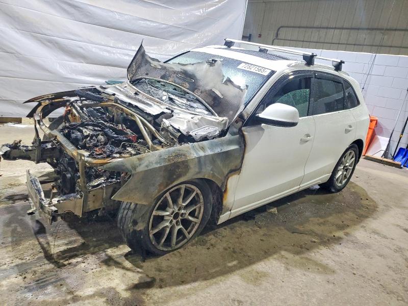 AUDI Q5 2010 with VIN WA1LKAFP3AA055758 - Photo from auction