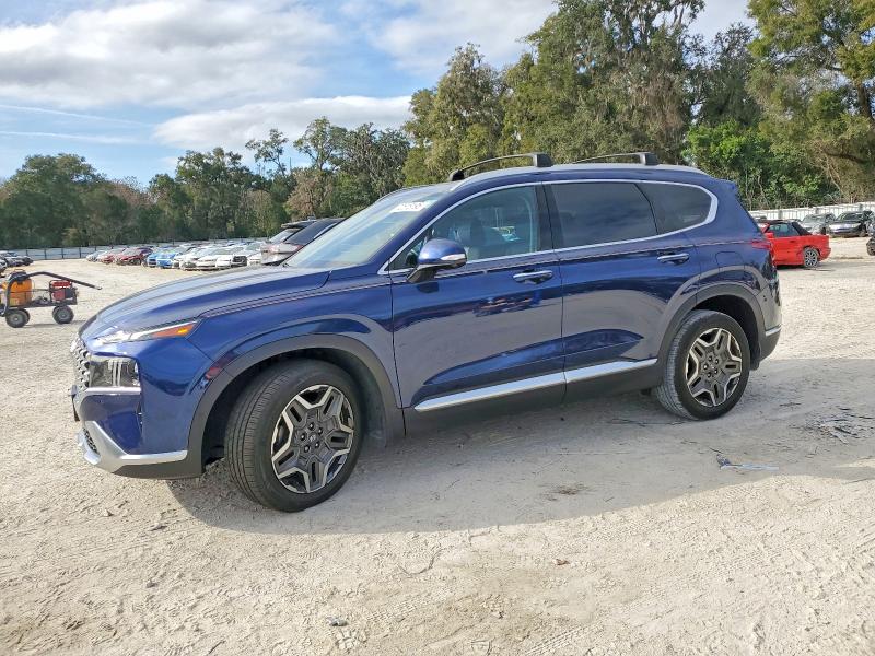 HYUNDAI SANTA FE 2023 with VIN 5NMS44AL9PH556296 - Photo from auction
