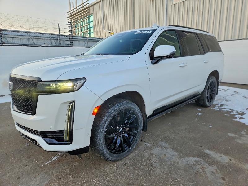 CADILLAC ESCALADE S 2022 with VIN 1GYS4GKT3NR191407 - Photo from auction