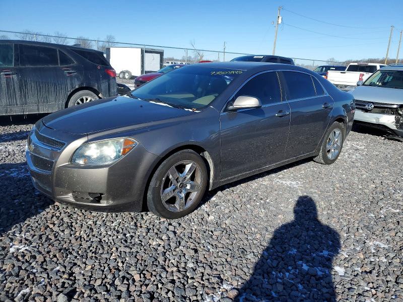CHEVROLET MALIBU 2010 with VIN 1G1ZC5E05AF311855 - Photo from auction