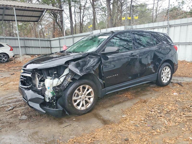 CHEVROLET EQUINOX LS 2019 with VIN 2GNAXHEV1K6141891 - Photo from auction