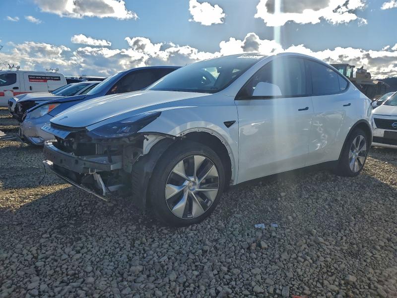 TESLA MODEL Y 2023 with VIN 7SAYGDEE3PF700040 - Photo from auction