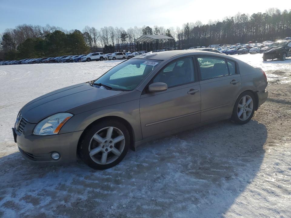 NISSAN MAXIMA SE 2004 with VIN 1N4BA41E14C883592 - Photo from auction