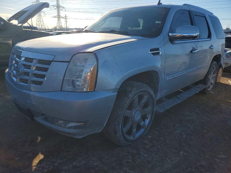 CADILLAC ESCALADE P 2011 with VIN 1GYS4CEF7BR115795 - Photo from auction
