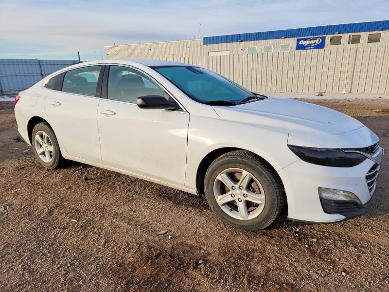 Photo 4 from auction – 2023 CHEVROLET MALIBU with VIN 1G1ZB5ST2PF123868