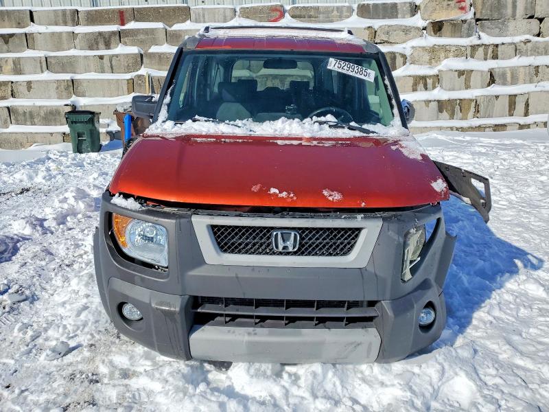 Photo 5 from auction – 2003 HONDA ELEMENT EX with VIN 5J6YH18573L021703