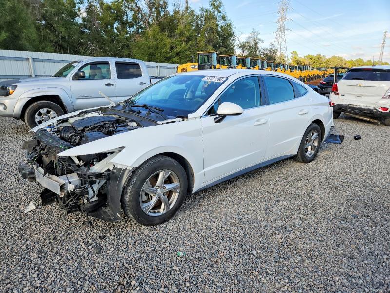 HYUNDAI SONATA 2020 with VIN 5NPEG4JA3LH059051 - Photo from auction
