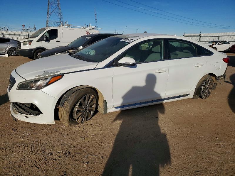 HYUNDAI SONATA SPO 2015 with VIN 5NPE34AF2FH249337 - Photo from auction
