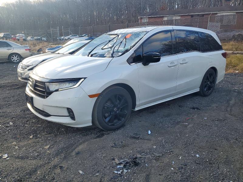 HONDA ODYSSEY 2024 with VIN 5FNRL6H79RB061266 - Photo from auction