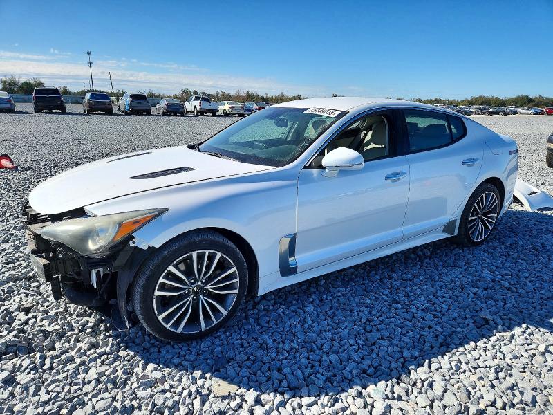 KIA STINGER 2019 with VIN KNAE15LA4K6064222 - Photo from auction