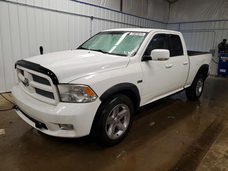DODGE RAM 1500 2010 with VIN 1D7RV1GT0AS210236 - Photo from auction