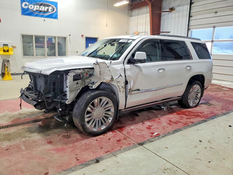 CADILLAC ESCALADE P 2020 with VIN 1GYS4CKJ5LR165637 - Photo from auction