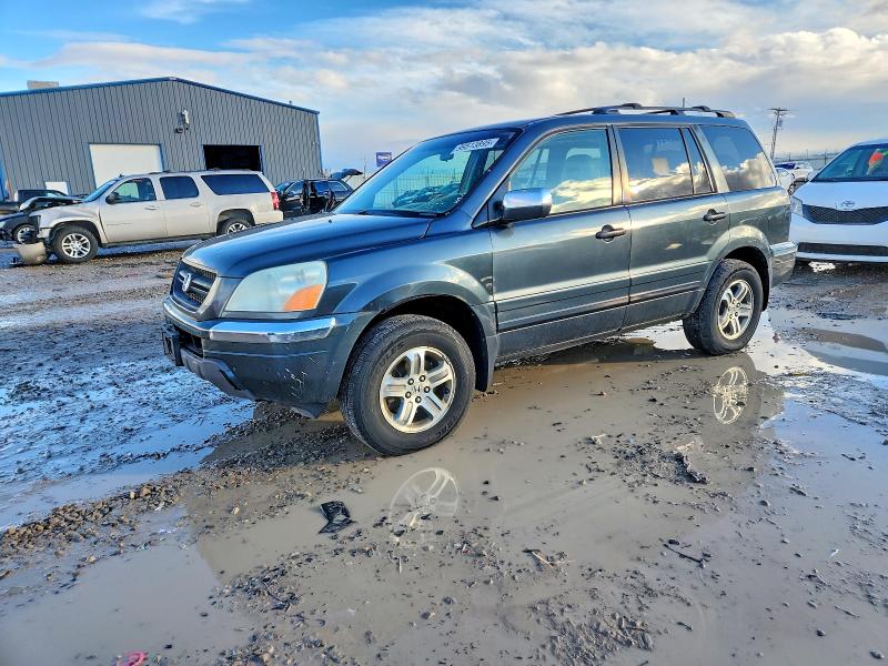 HONDA PILOT EX 2003 with VIN 2HKYF18433H530498 - Photo from auction