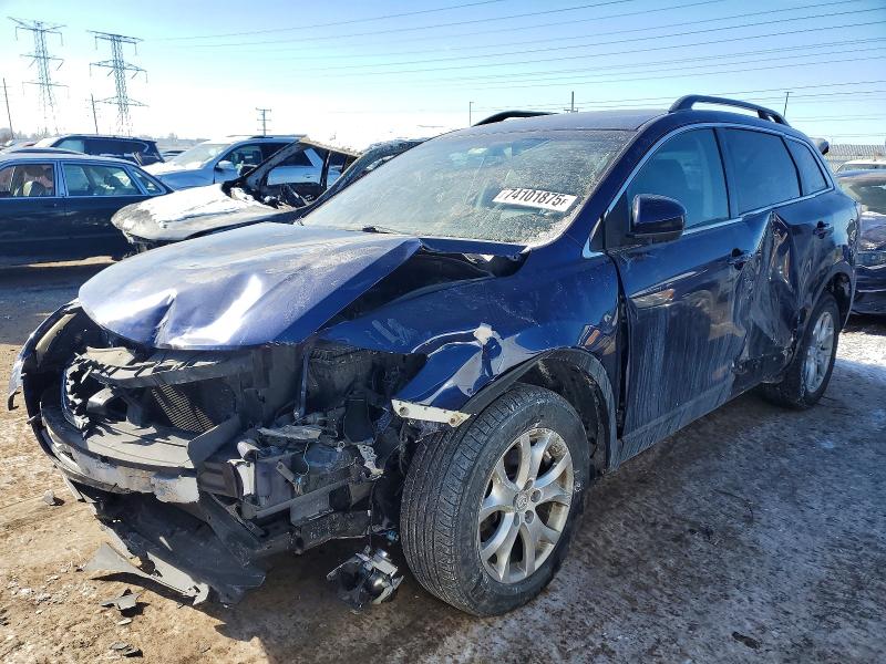 MAZDA CX-9 2011 with VIN JM3TB3CA6B0317207 - Photo from auction