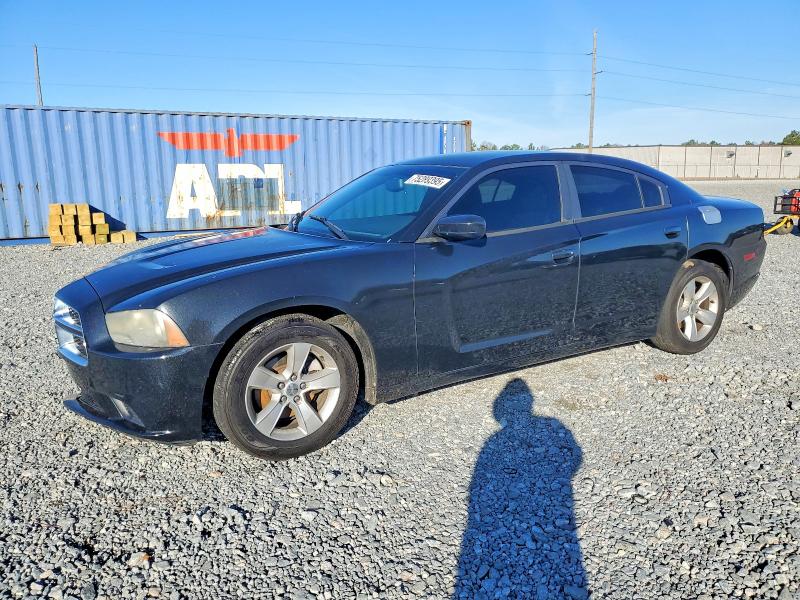 DODGE CHARGER 2014 with VIN 2C3CDXBGXEH138205 - Photo from auction