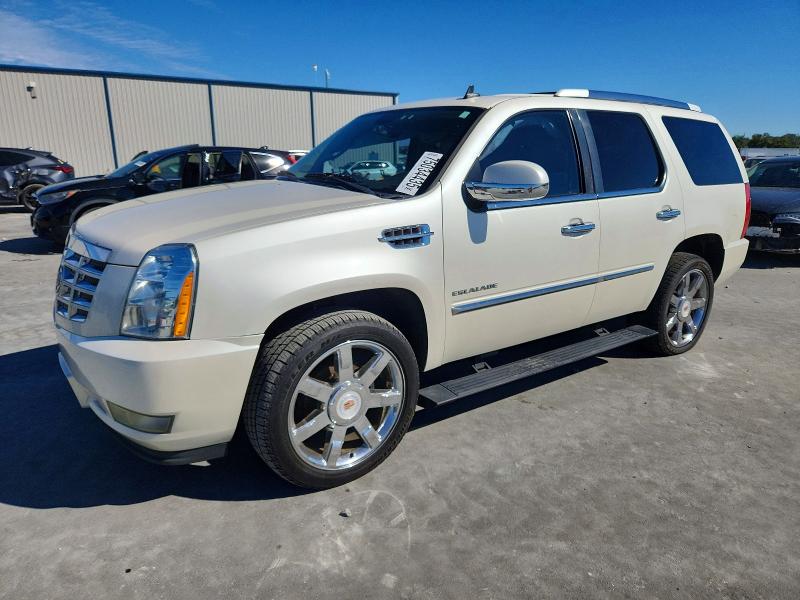CADILLAC ESCALADE P 2011 с VIN 1GYS3CEF9BR260694 - Фото с аукциона