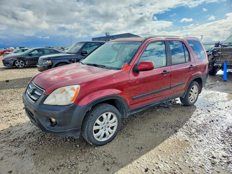 HONDA CR-V EX 2005 with VIN JHLRD78825C029460 - Photo from auction
