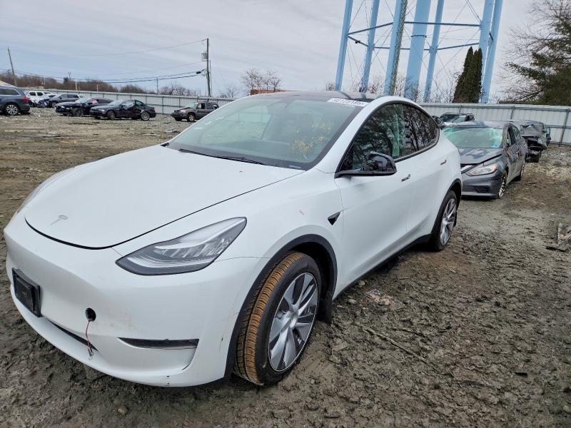 TESLA MODEL Y 2023 with VIN 7SAYGDEE2PA099734 - Photo from auction