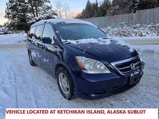 HONDA ODYSSEY 2005 with VIN 5FNRL38405B081176 - Photo from auction