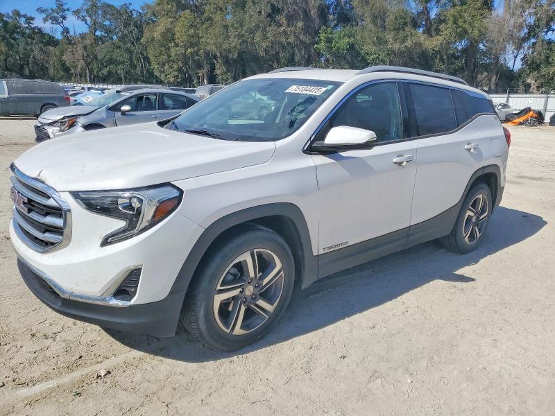 GMC TERRAIN SL 2020 with VIN 3GKALPEV5LL170939 - Photo from auction
