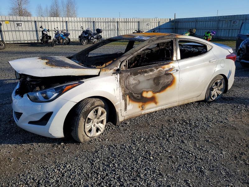 HYUNDAI ELANTRA SE 2016 with VIN 5NPDH4AE7GH781589 - Photo from auction
