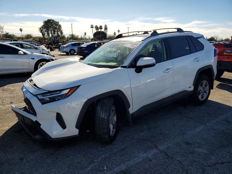TOYOTA RAV4 XLE 2025 with VIN JTMRWRFV9SD279487 - Photo from auction