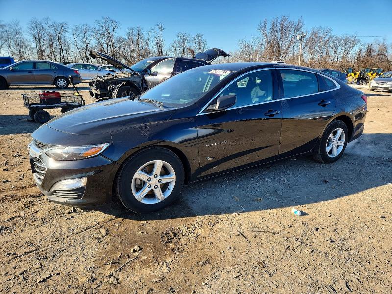 CHEVROLET MALIBU 2020 with VIN 1G1ZB5ST2LF004034 - Photo from auction