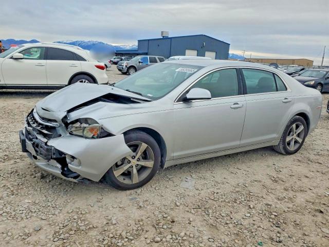 CHEVROLET MALIBU 2011 with VIN 1G1ZC5E1XBF252716 - Photo from auction