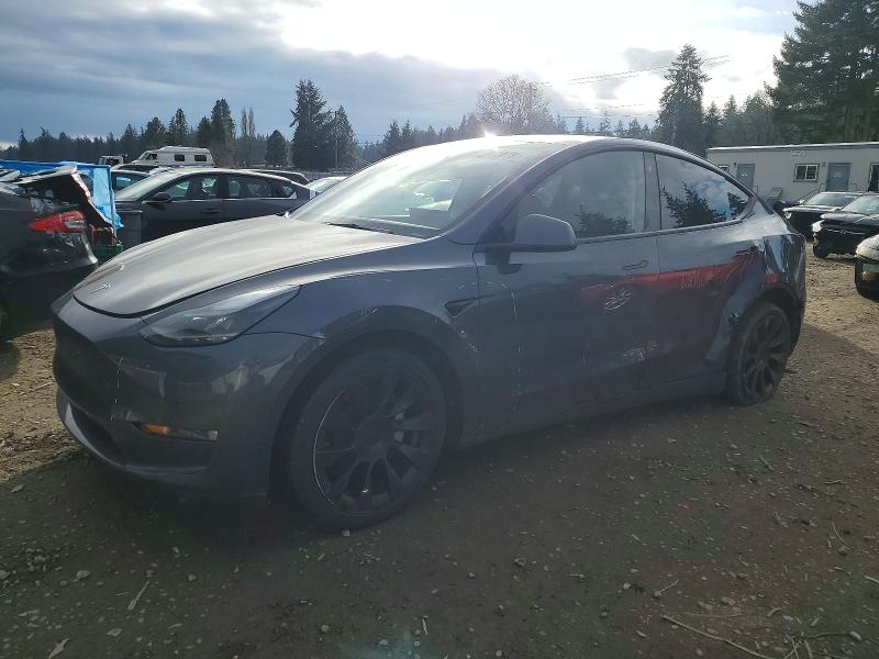 TESLA MODEL Y 2022 with VIN 7SAYGAEE2NF541023 - Photo from auction