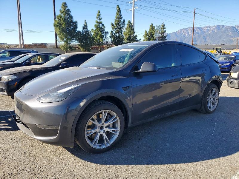 TESLA MODEL Y 2024 с VIN 7SAYGDED8RF009578 - Фото с аукциона