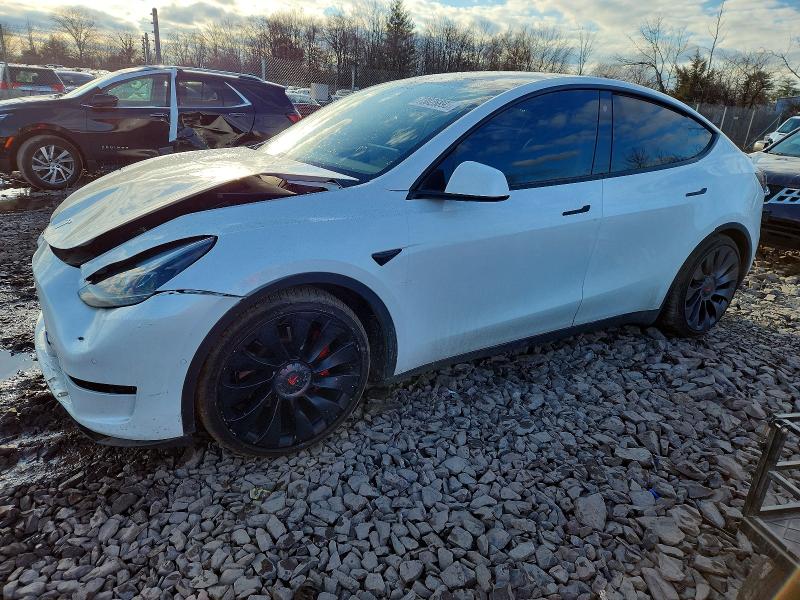 TESLA MODEL Y 2022 with VIN 7SAYGDEF5NF461967 - Photo from auction