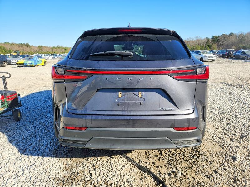 Photo 6 from auction – 2022 LEXUS NX 250 with VIN JTJADCAZ0N2001956