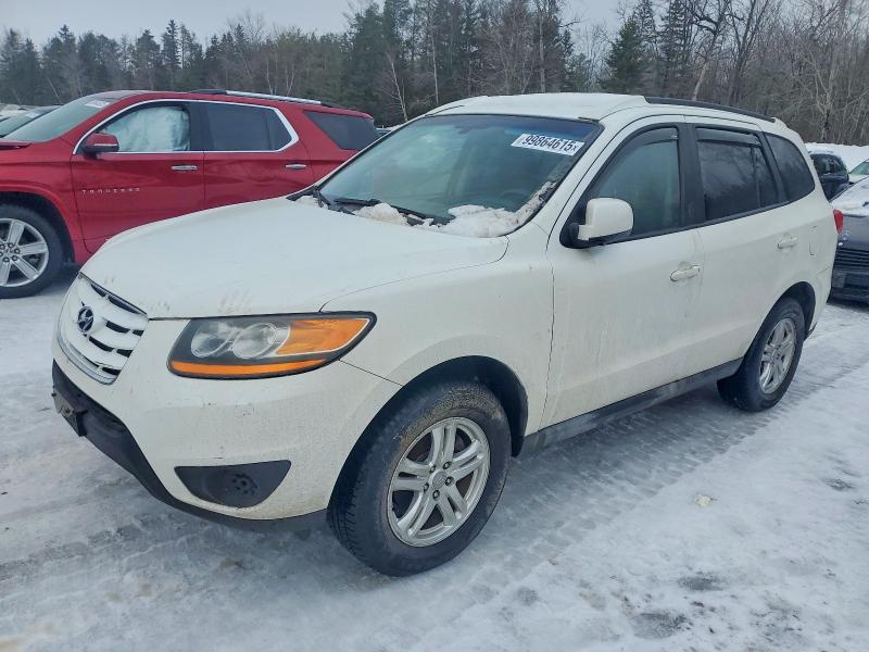 HYUNDAI SANTA FE G 2010 with VIN 5NMSG3AB2AH382734 - Photo from auction