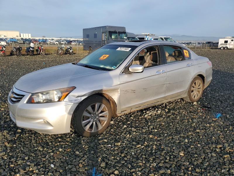 HONDA ACCORD EXL 2012 with VIN 1HGCP3F80CA019980 - Photo from auction