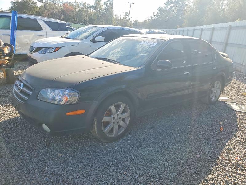 NISSAN MAXIMA 2002 with VIN JN1DA31A02T302156 - Photo from auction