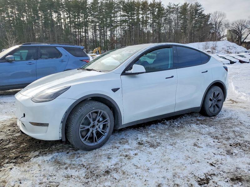 TESLA MODEL Y 2024 with VIN 7SAYGDED6RA318642 - Photo from auction