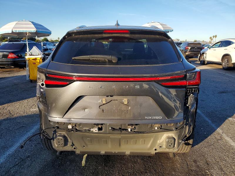 Photo 6 from auction – 2023 LEXUS NX with VIN 2T2ADCAZXPC003622