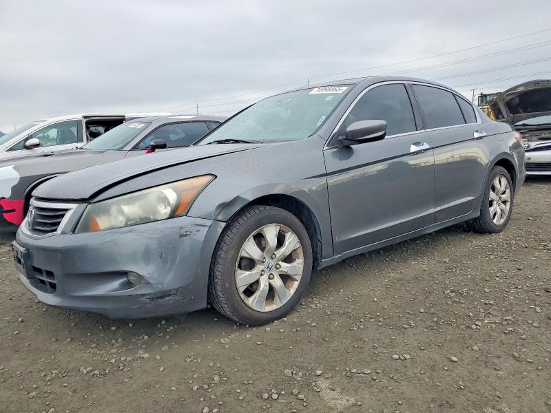 HONDA ACCORD EX 2008 with VIN 1HGCP36708A021663 - Photo from auction