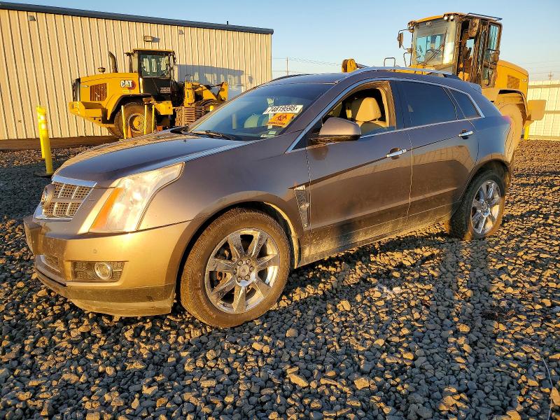 CADILLAC SRX 2011 with VIN 3GYFNFEY6BS588036 - Photo from auction