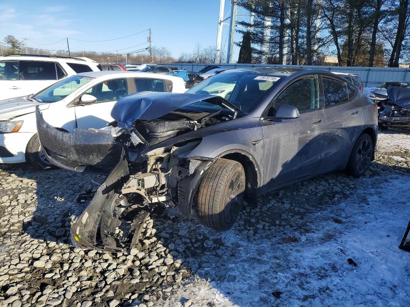 TESLA MODEL Y 2023 with VIN 7SAYGDEE0PF696335 - Photo from auction