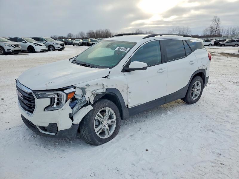 GMC TERRAIN 2024 مع رقم تعريف المركبة 3GKALTEG2RL302588 - صورة من المزاد