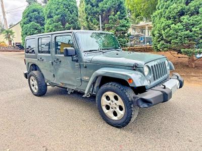 JEEP WRANGLER U 2014 with VIN 1C4BJWEG1EL304085 - Photo from auction