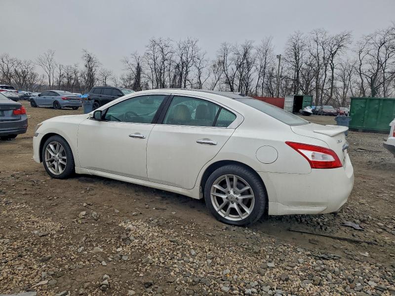 Photo 2 from auction – 2010 NISSAN MAXIMA S with VIN 1N4AA5AP6AC818977