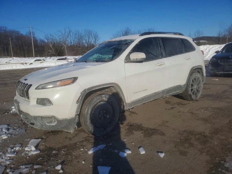 JEEP CHEROKEE 2014 with VIN 1C4PJMCSXEW296133 - Photo from auction